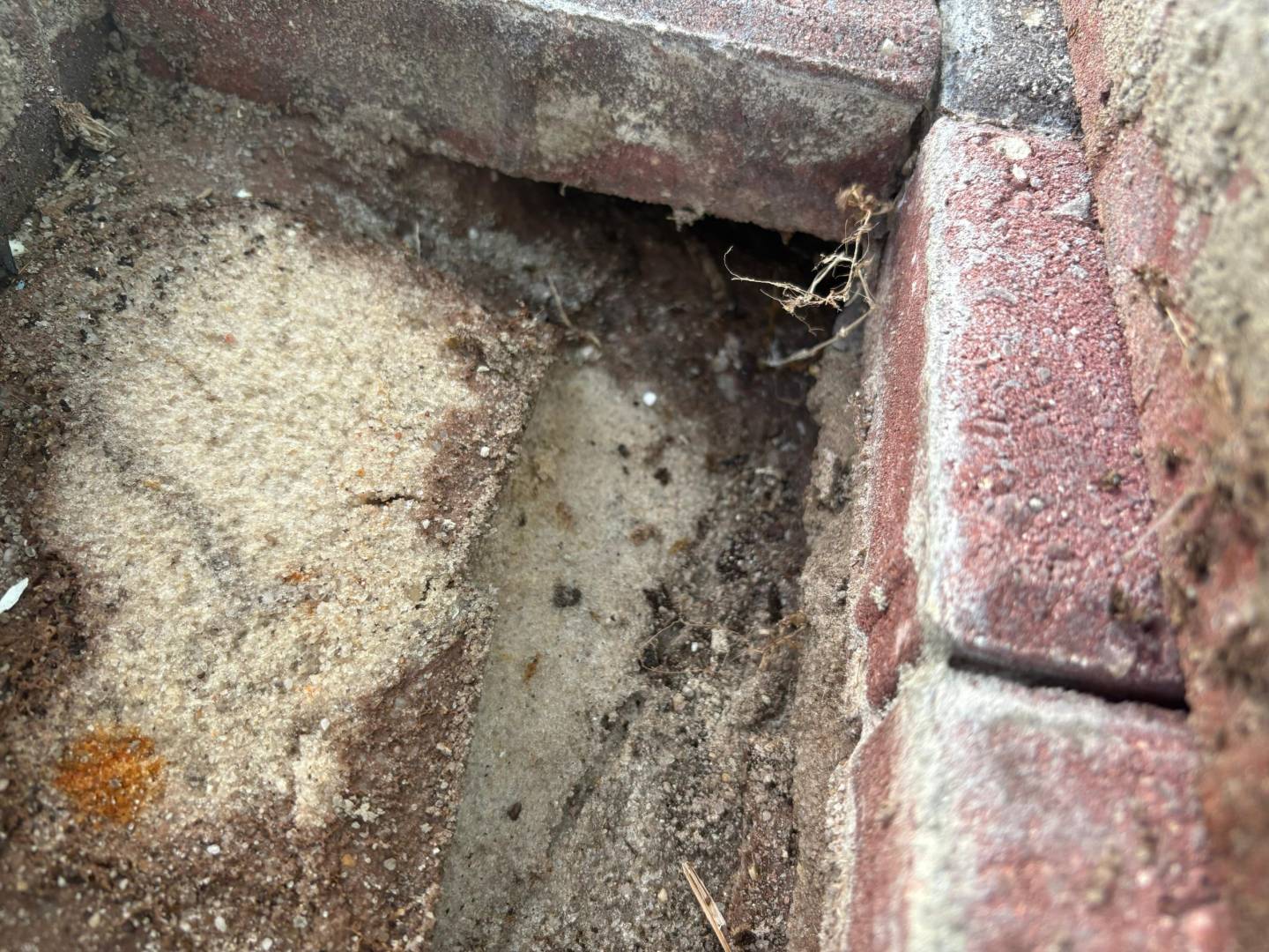Paver Restoration and repair