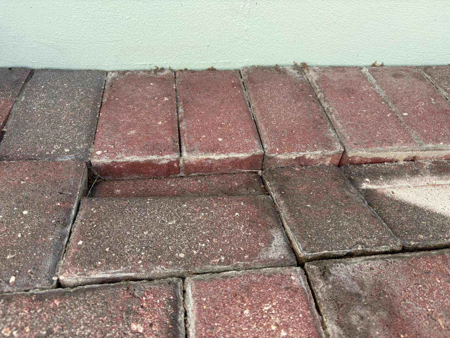 Paver Restoration and repair