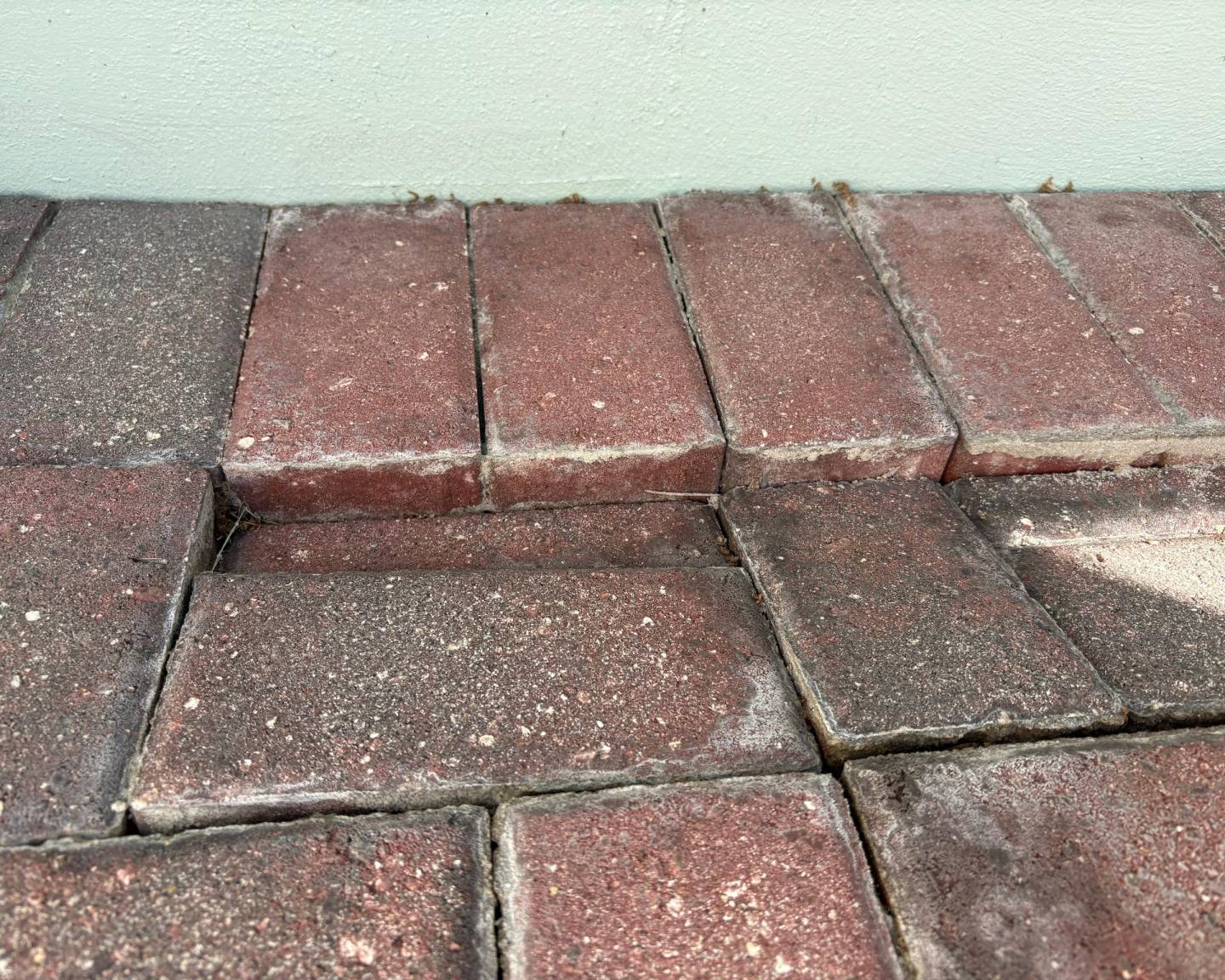 Paver Restoration and repair