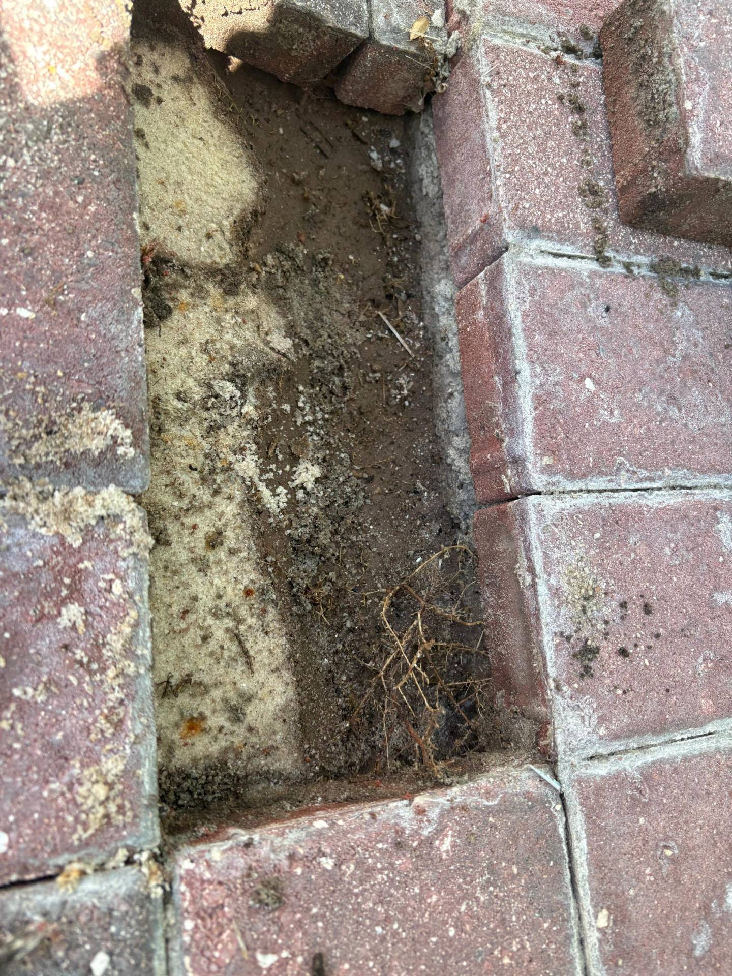 Paver Restoration and repair
